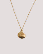 Load image into Gallery viewer, Golden Shell Necklace
