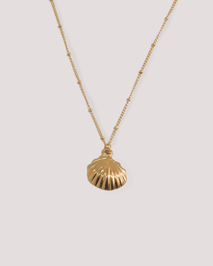 Golden Shell Necklace