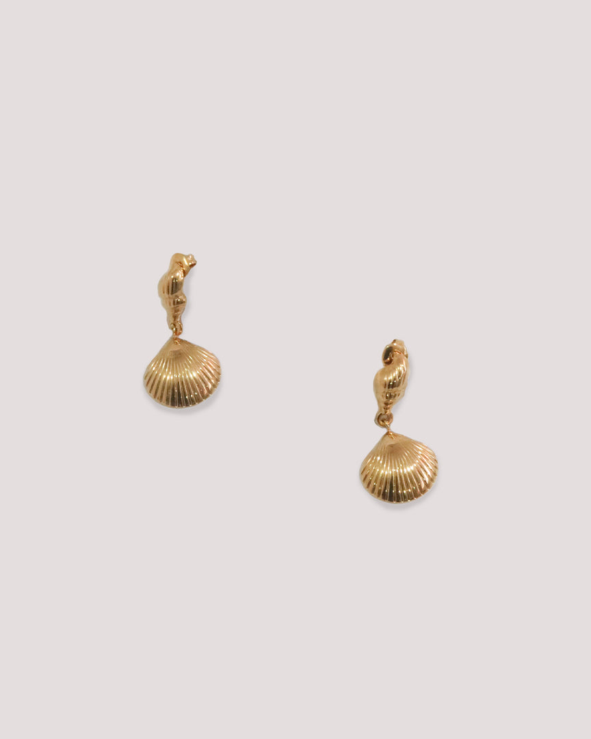 Harper Shell Earrings